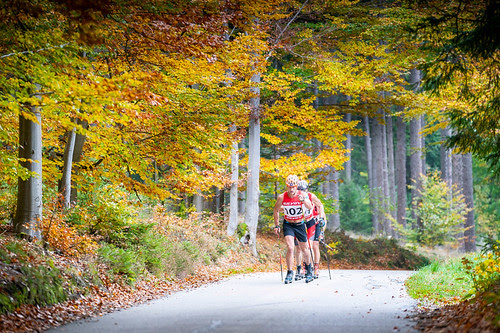 Povedený blok závodů v podání Honzy Šraila