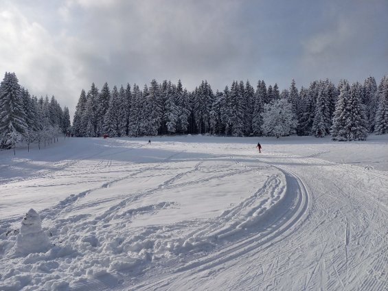 Testování pro obchodní partnery NORDIC