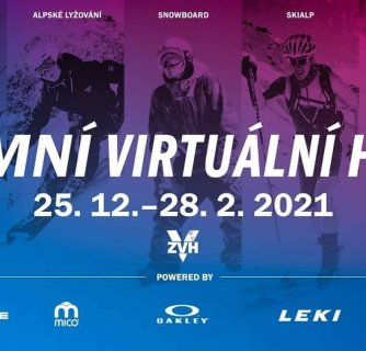 Zimní virtuální hry