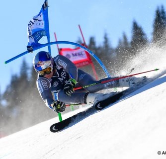 Závodní program ALPINE