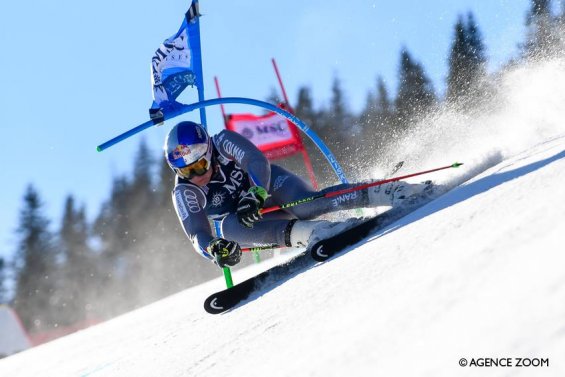 Závodní program ALPINE